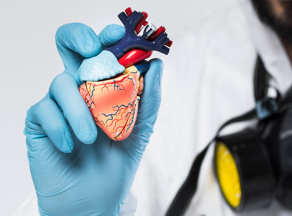 Angiología-y-cirugía-vascular